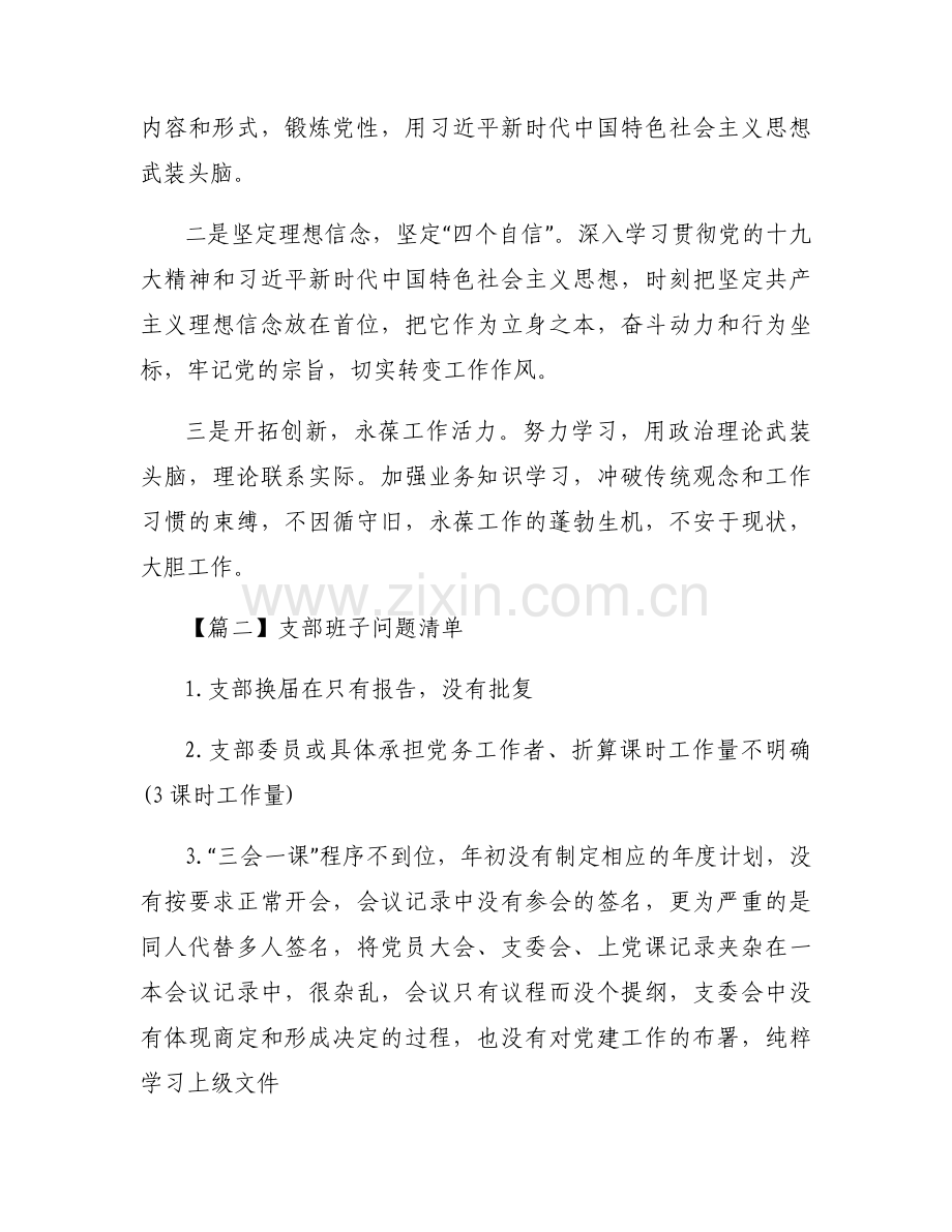 支部班子问题清单范文(通用6篇).docx_第2页