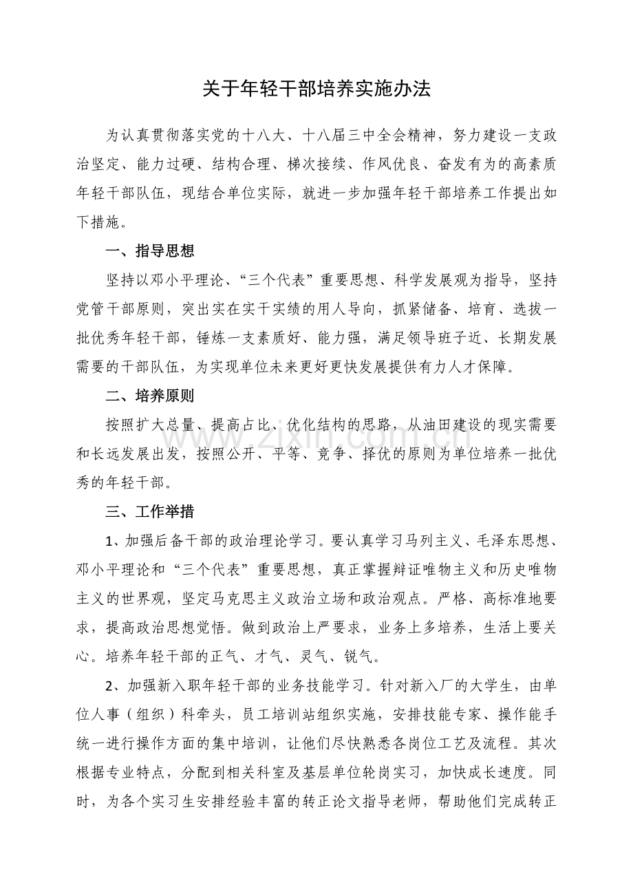 关于年轻干部培养实施办法.doc_第1页
