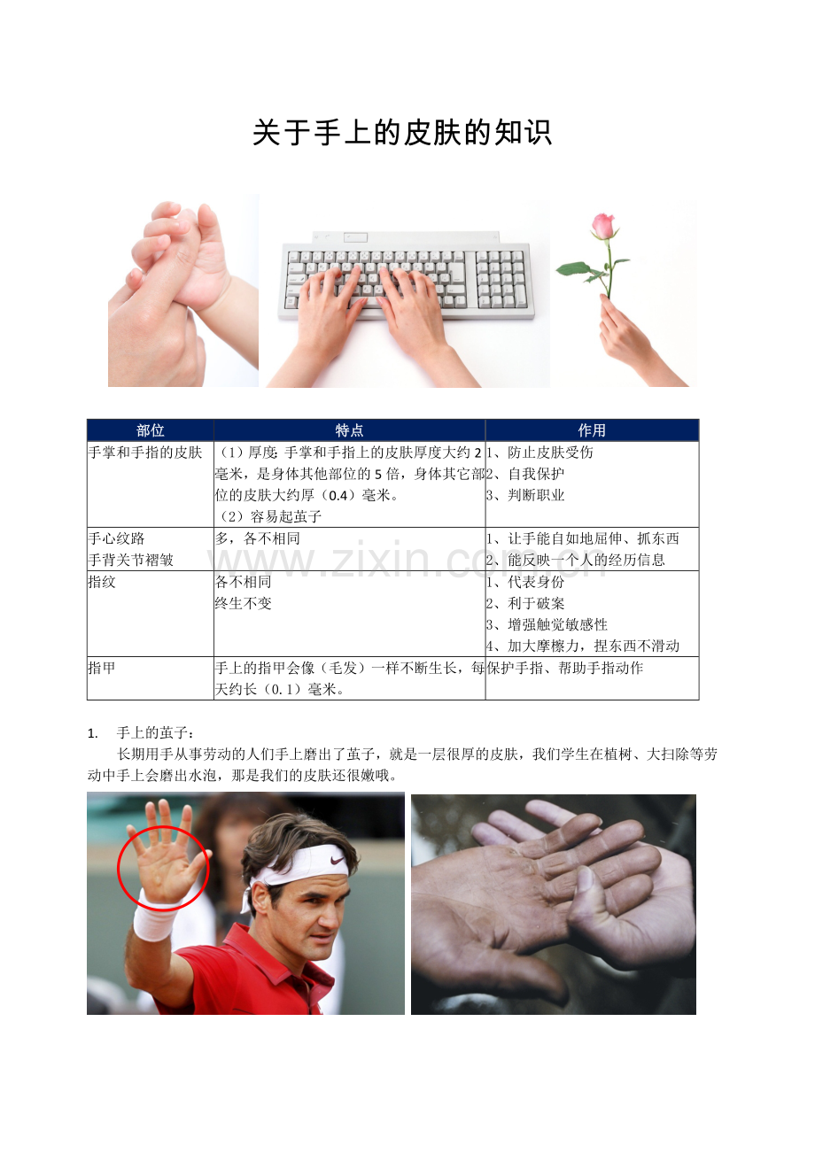 关于手上的皮肤的知识.doc_第1页