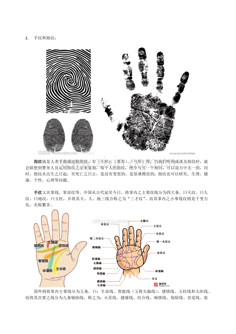 关于手上的皮肤的知识.doc_第2页