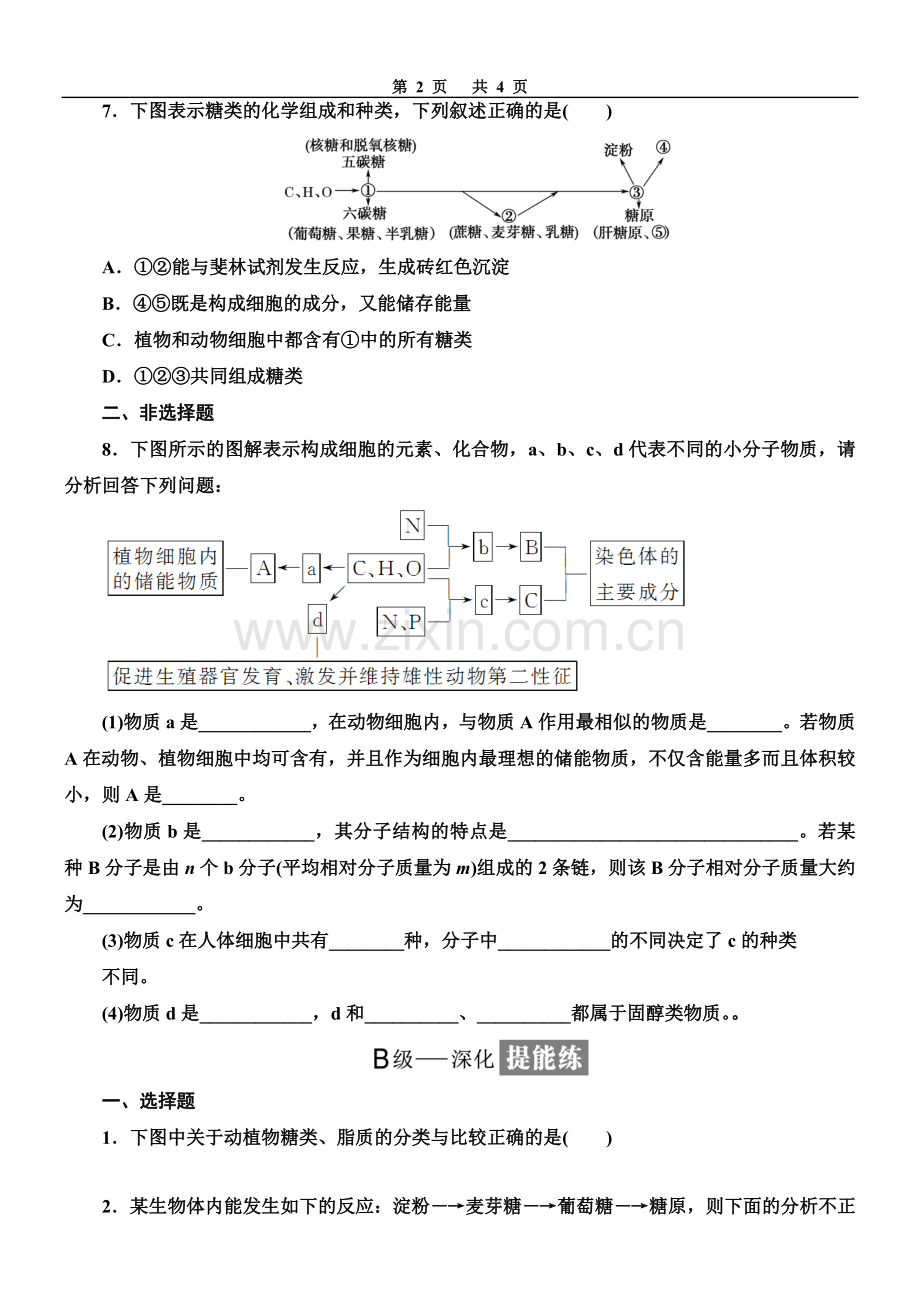 组成细胞的分子单元测试.doc_第2页