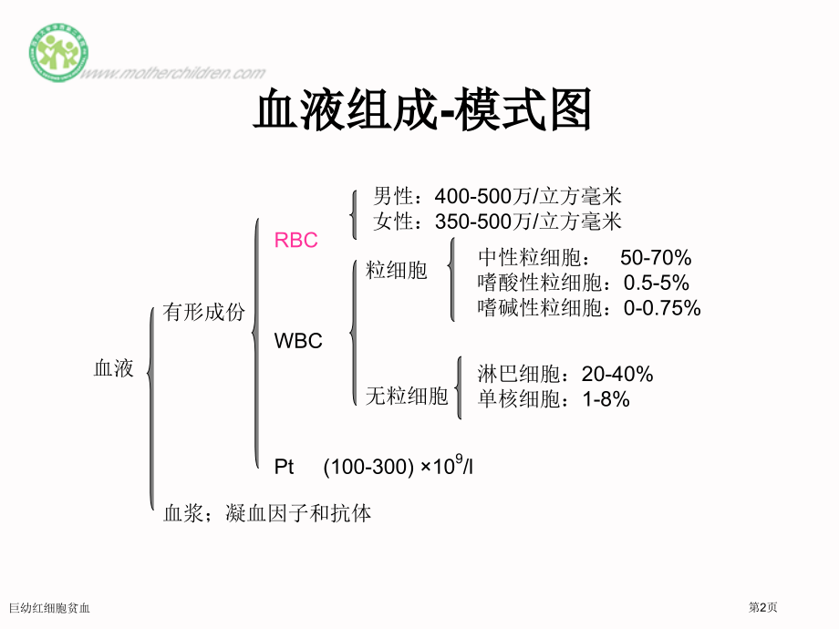 巨幼红细胞贫血专家讲座.pptx_第2页