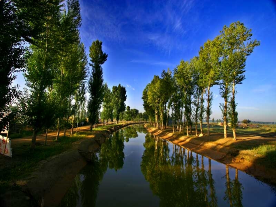 人教版小学语文五年级下册第1组第3课《白杨》课件.ppt_第2页