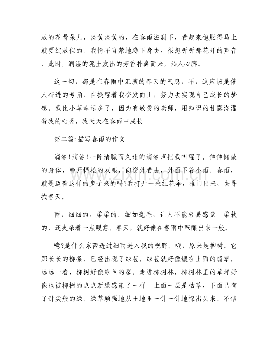 关于描写春雨的作文【九篇】.docx_第2页
