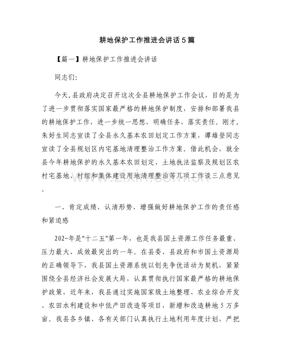 耕地保护工作推进会讲话5篇.docx_第1页