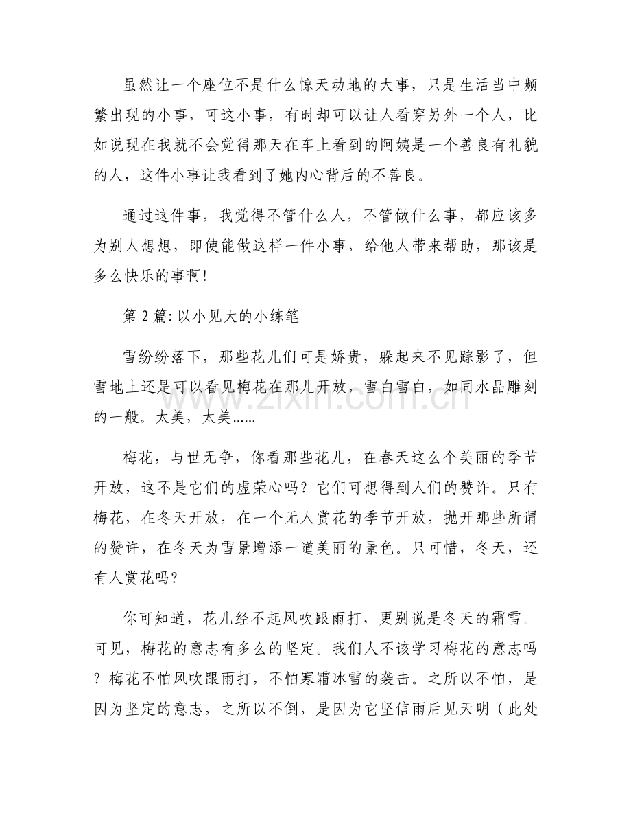 以小见大的小练笔范文(6篇).docx_第2页