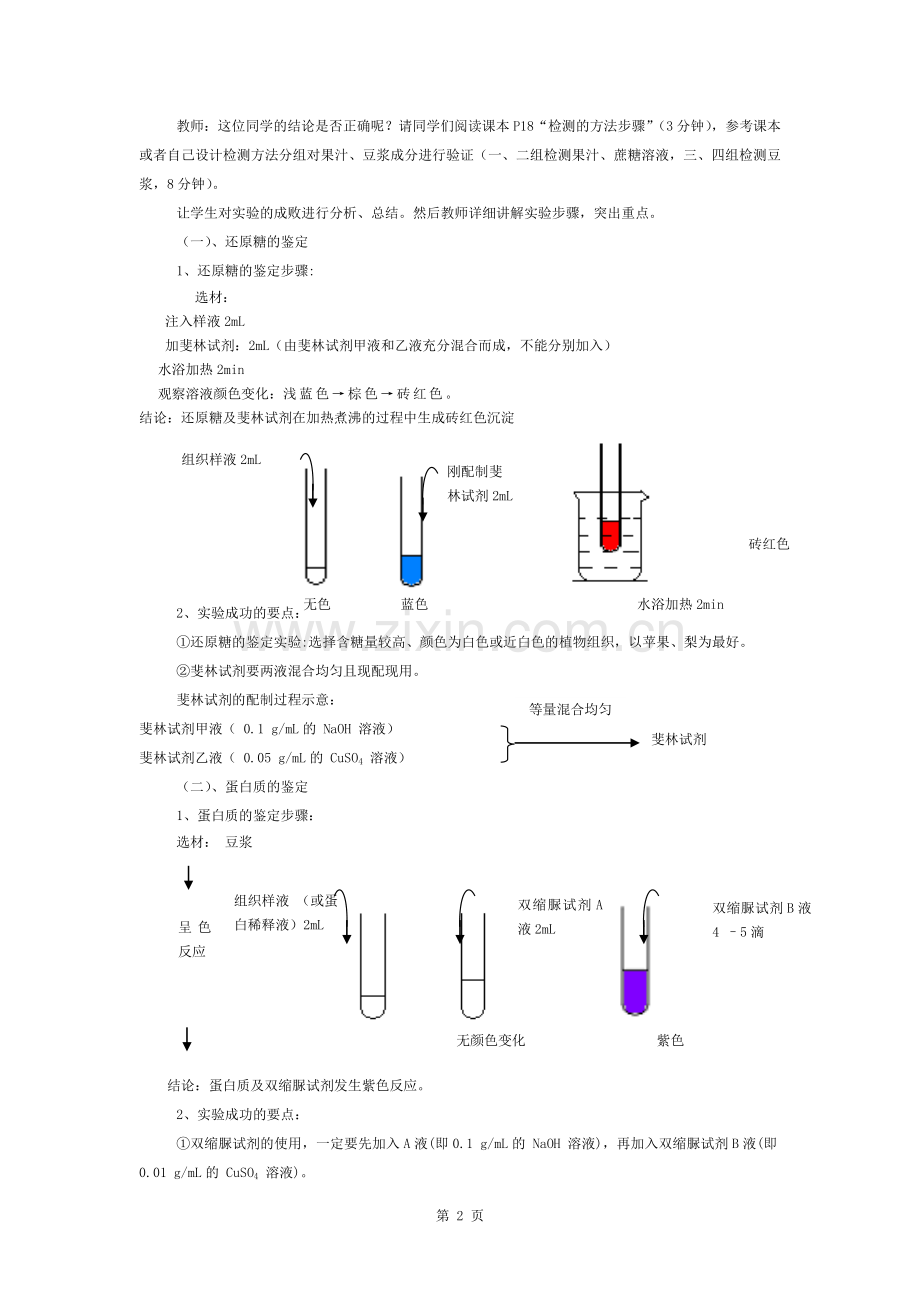 《检测生物组织中还原糖、脂肪和蛋白质》教案.docx_第2页