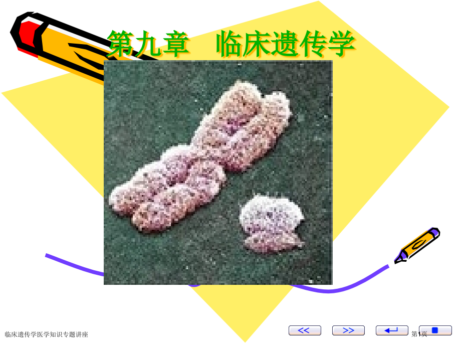 临床遗传学医学知识专题.pptx_第1页