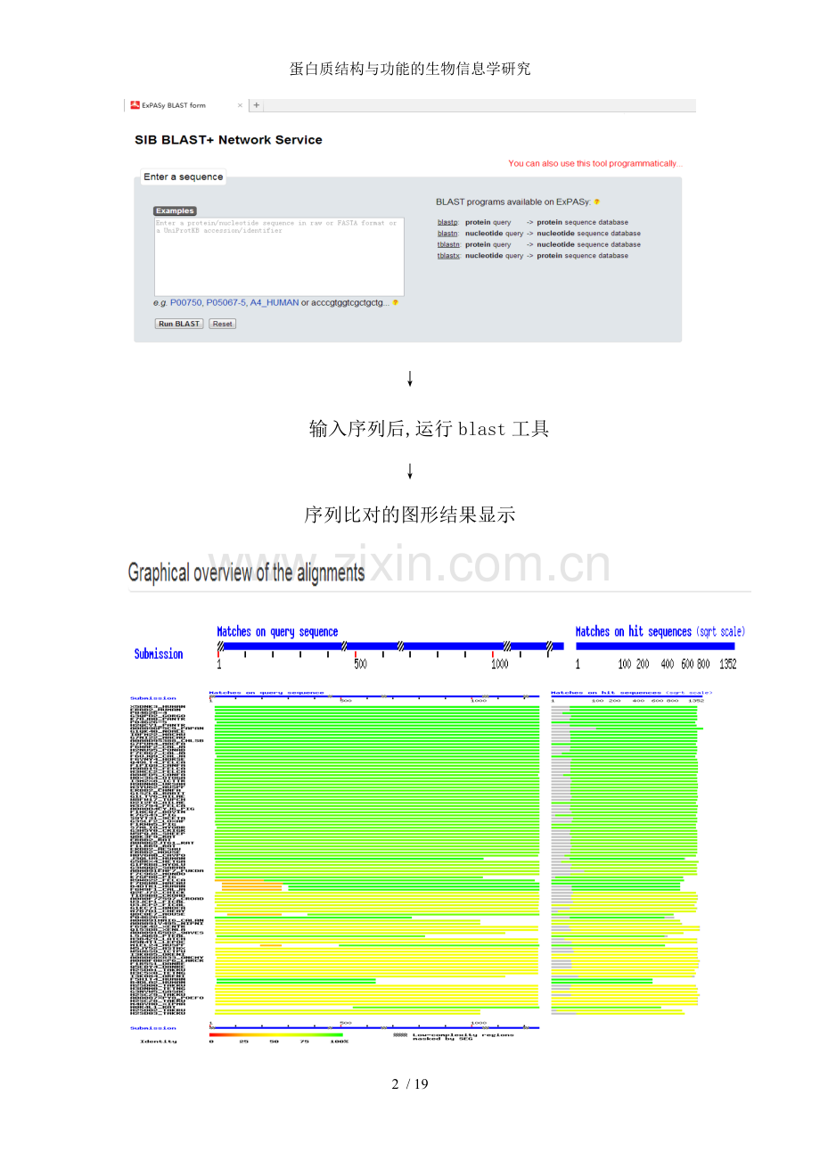 蛋白质结构与功能的生物信息学研究.doc_第2页