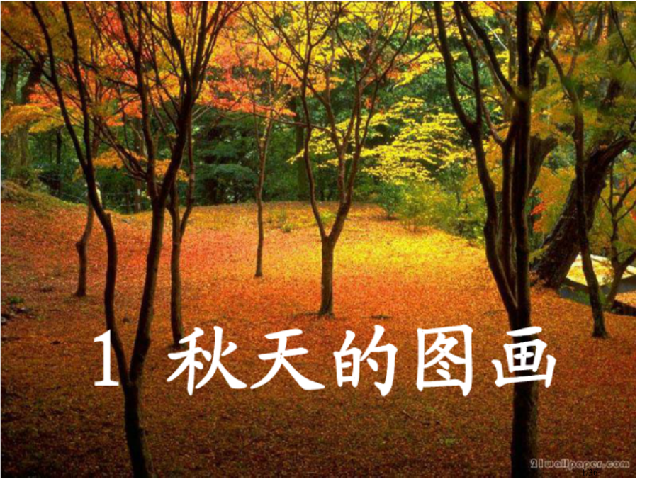 小学语文二年级上册秋天的图画课.pptx_第1页