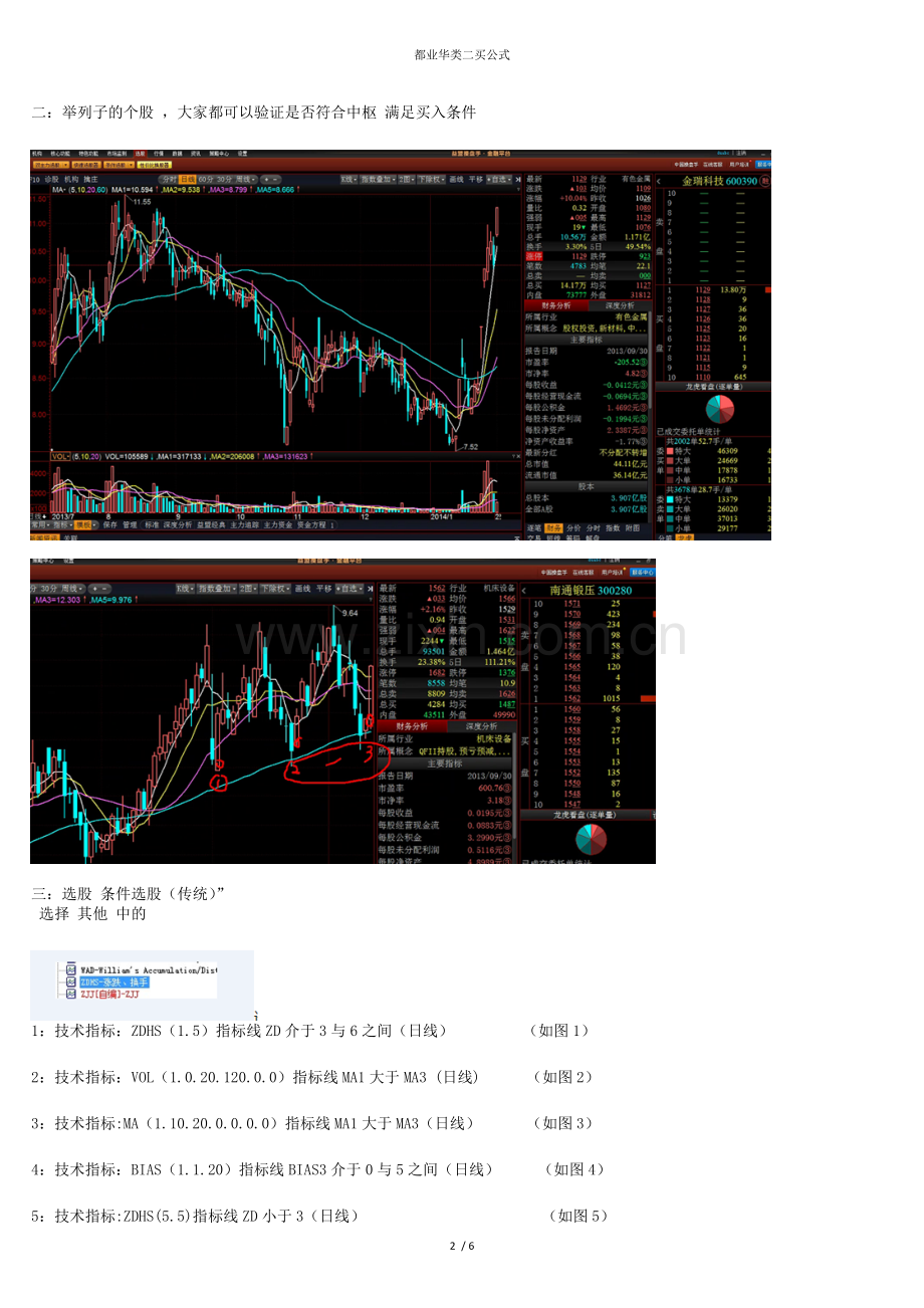 都业华类二买公式.doc_第2页