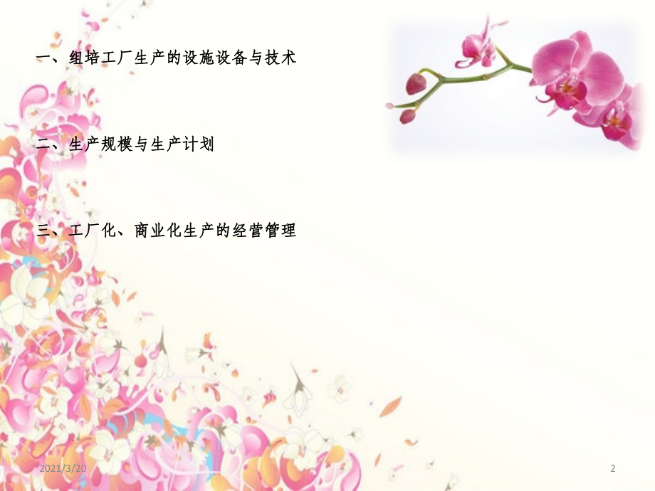 植物组培苗工厂化生产与管理自制.pptx_第2页