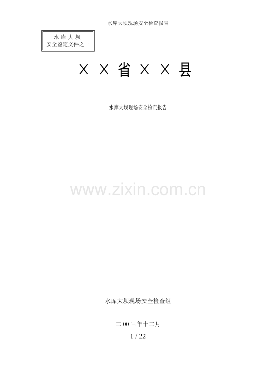 水库大坝现场安全检查报告.doc_第1页