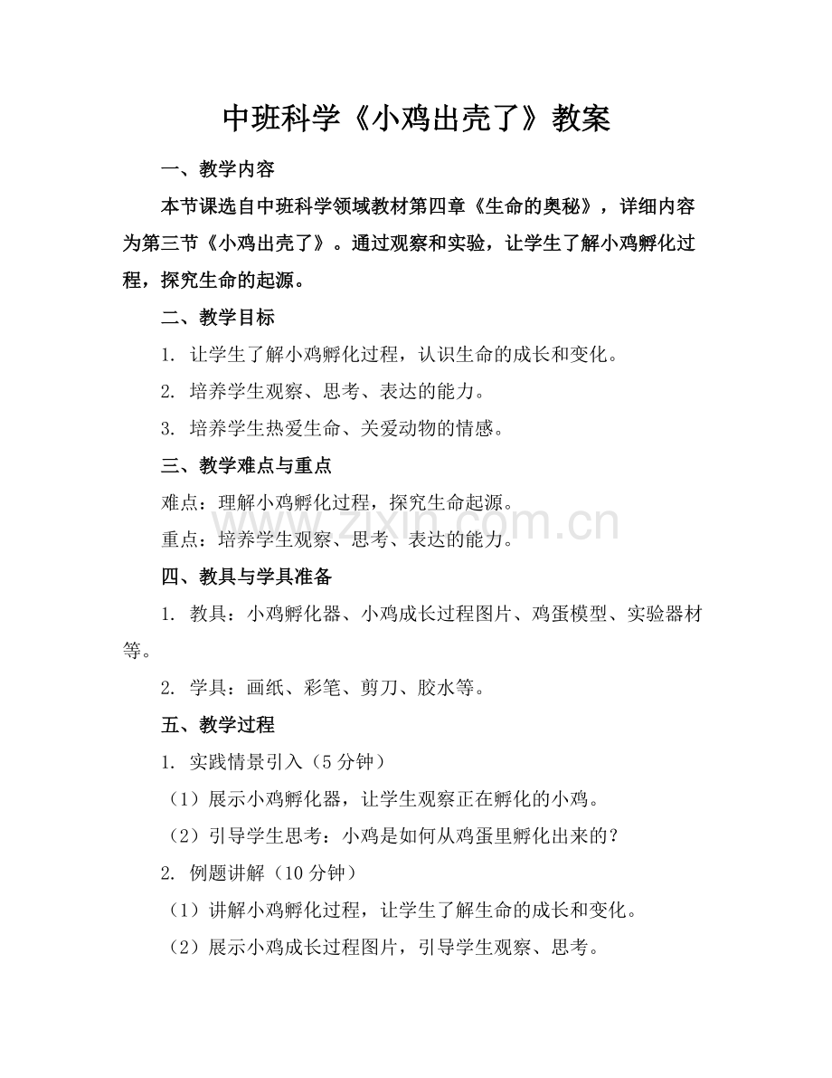 中班科学《小鸡出壳了》教案范例x.doc_第1页