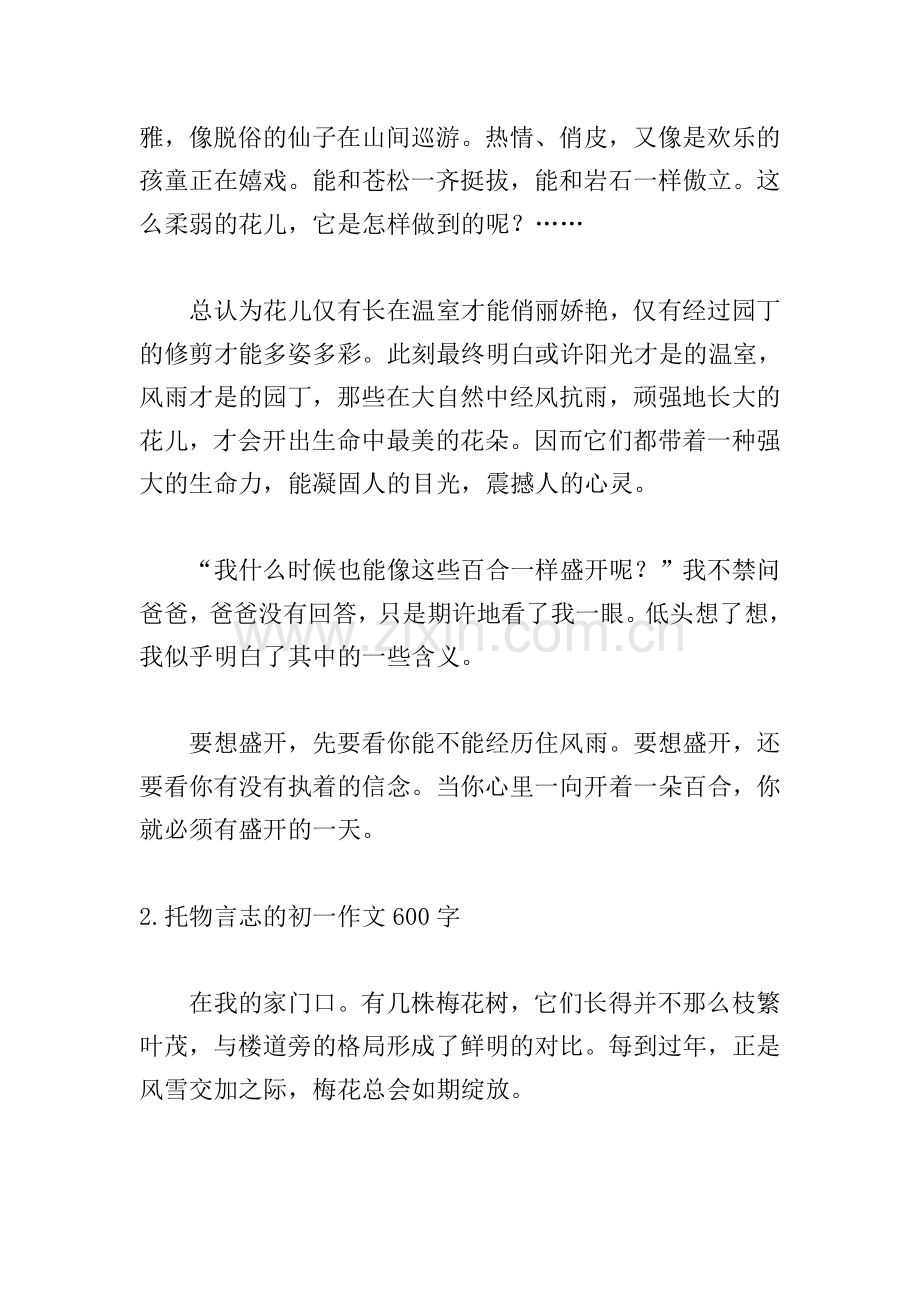 托物言志的初一作文600字5篇.doc_第2页