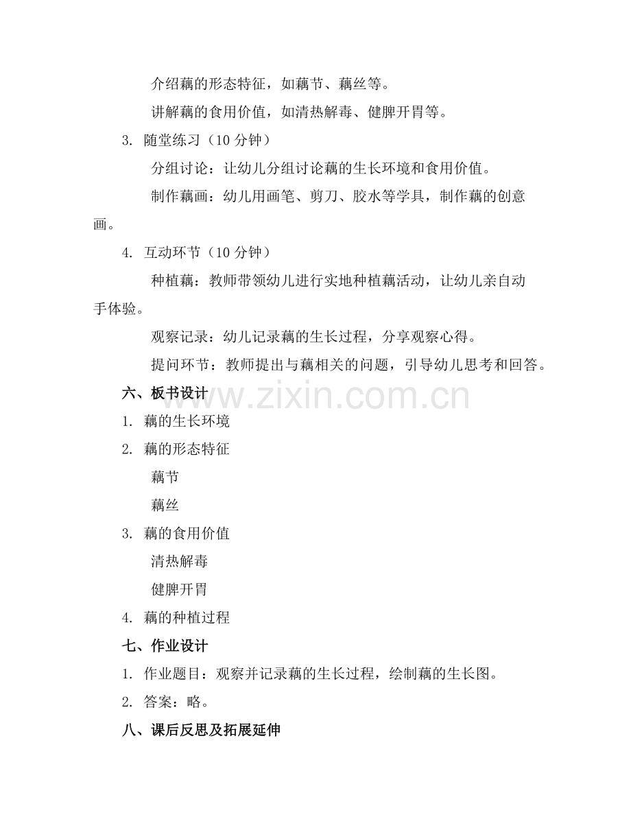 2025年中班科学教案藕范例x.doc_第2页