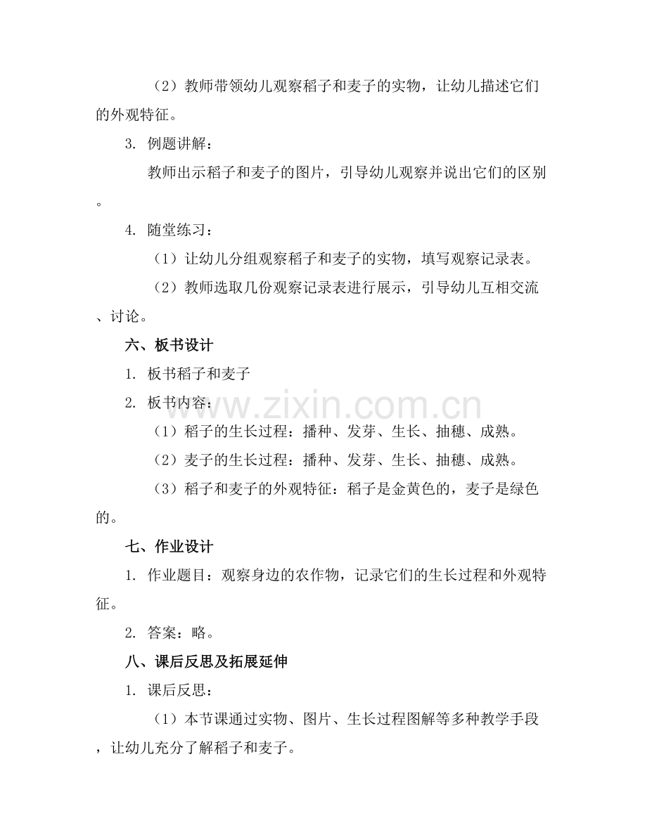 幼儿园中班科学优质教案稻子和麦子范例x.docx_第2页