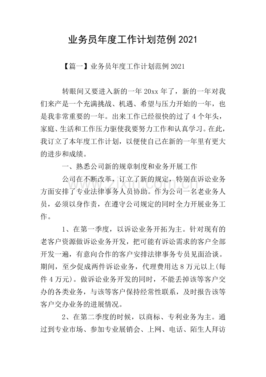 业务员年度工作计划范例2021.doc_第1页