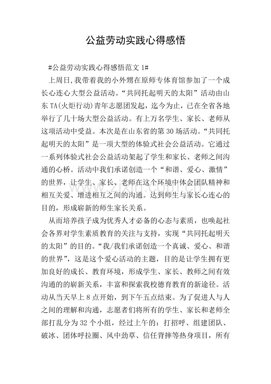 公益劳动实践心得感悟.doc_第1页