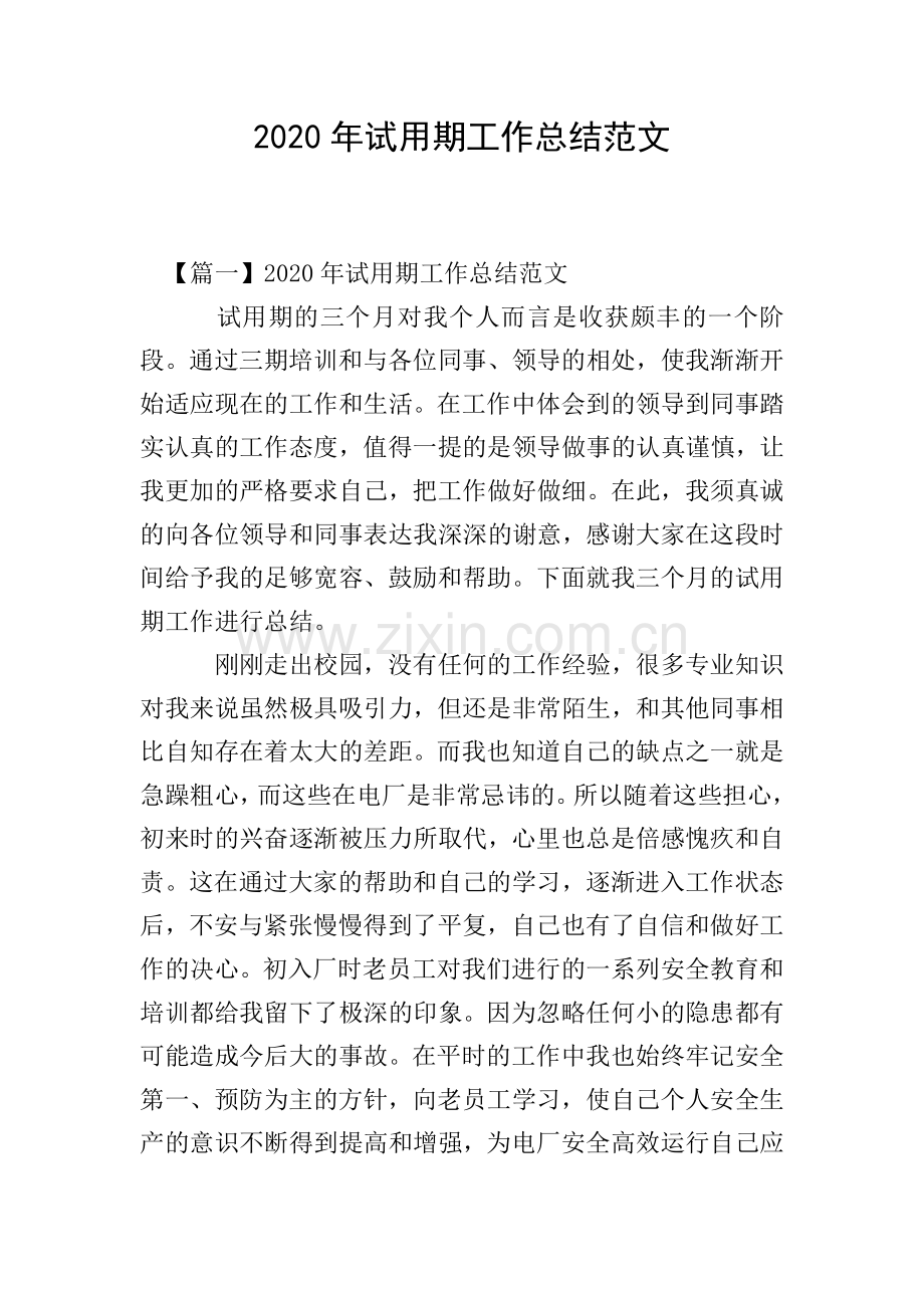 2020年试用期工作总结范文.doc_第1页