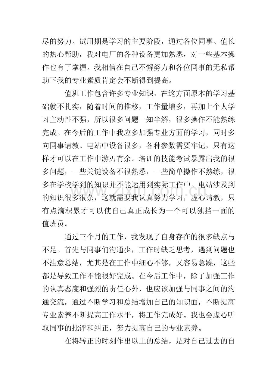 2020年试用期工作总结范文.doc_第2页