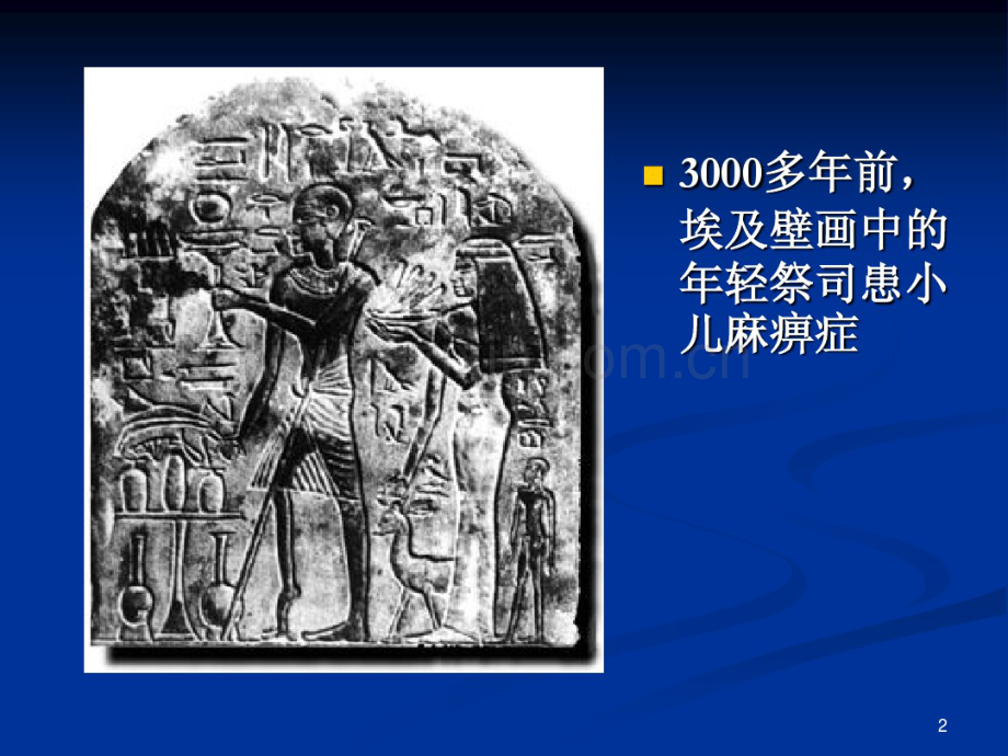 病毒总论及常见致病病毒.pdf_第2页