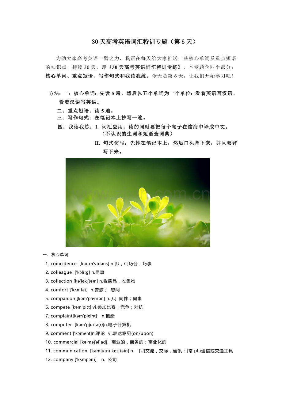 30天高考英语词汇特训专项(第6天).doc_第1页