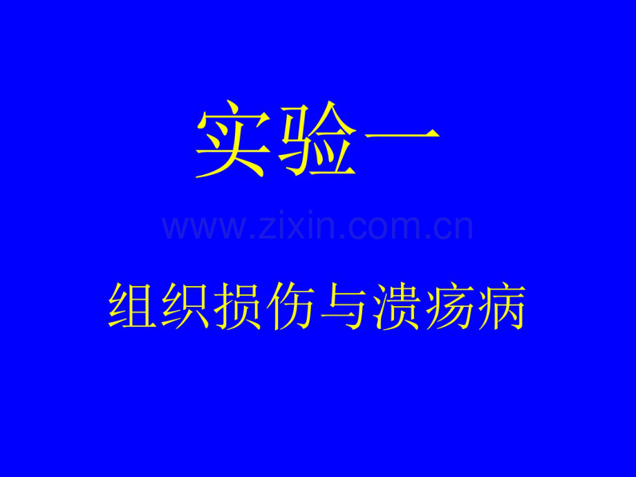病理实验切片一组织损伤与溃疡病.pdf_第1页