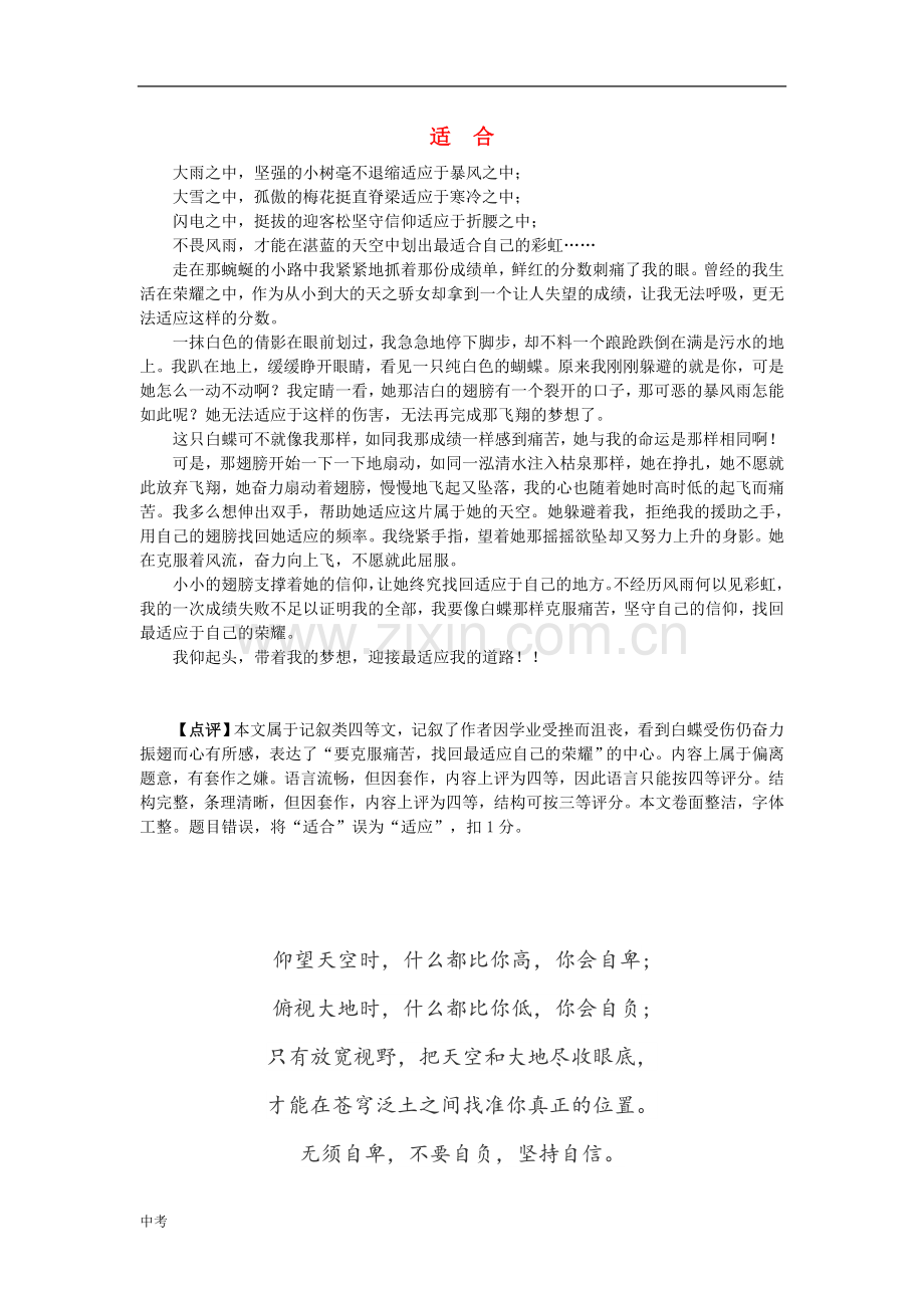 广东省广州市中考语文总复习：写作第五章高效得分技巧适合素材.doc_第1页