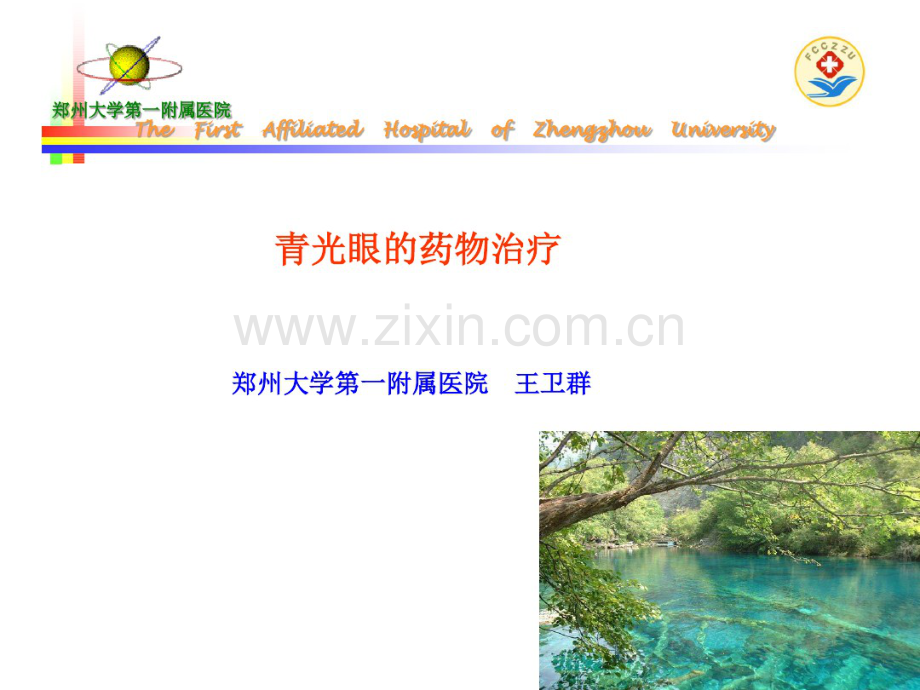 青光眼的药物治疗.pdf_第1页