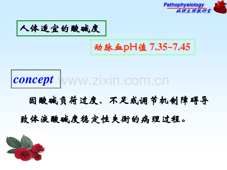 病理酸碱平衡紊乱.pdf_第2页