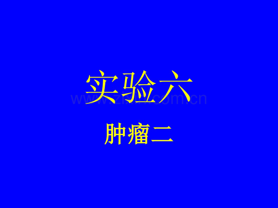 病理实验切片六肿瘤.pdf_第1页