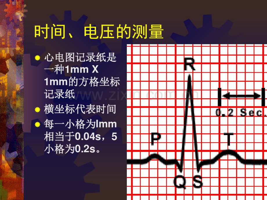 心电图测量基础知识.pdf_第2页