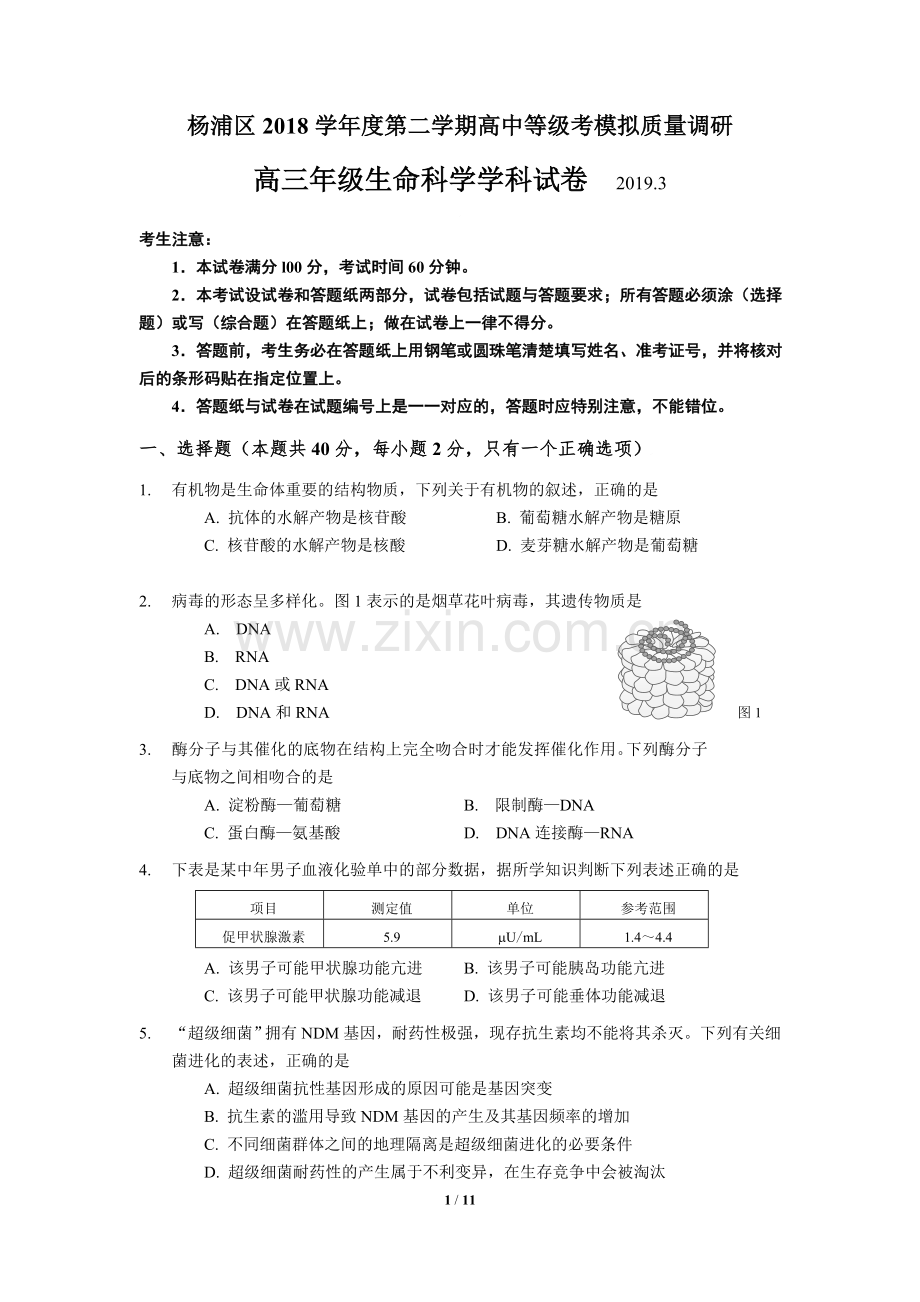 上海市杨浦区2018-2019学年第二学期高中(二模)等级考调研测试生命科学试卷含答案.doc_第1页
