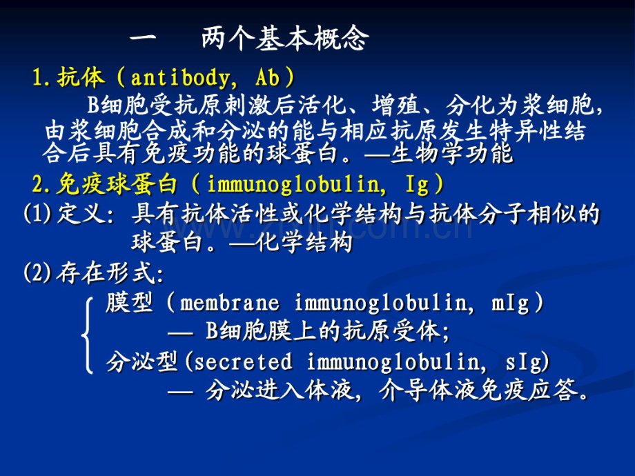 本科抗体.pdf_第2页