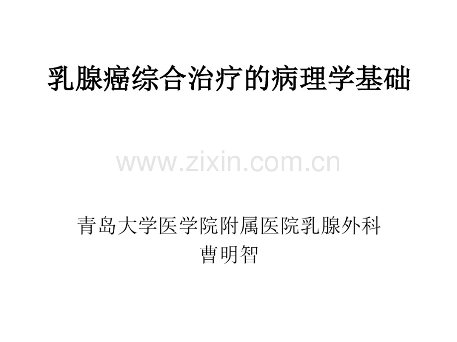 乳腺癌病理.pdf_第1页