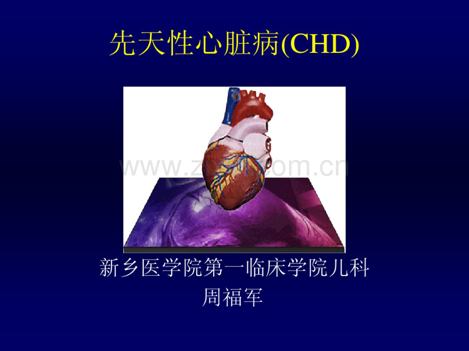 先心病个论.pdf_第1页