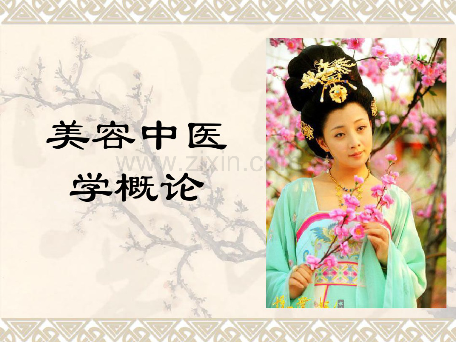 美容中医学概述.pdf_第2页