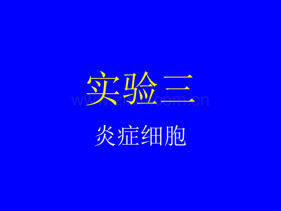 病理实验切片三炎症.pdf_第1页
