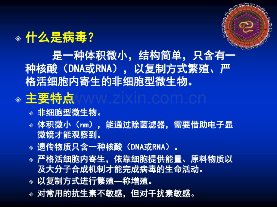 病毒的基本性状.pdf_第2页