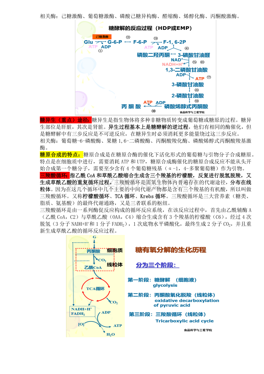 食品生物化学总结.doc_第2页