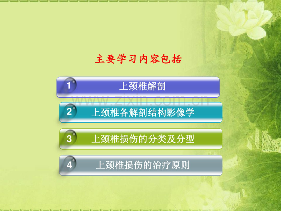 上颈椎损伤.pdf_第2页