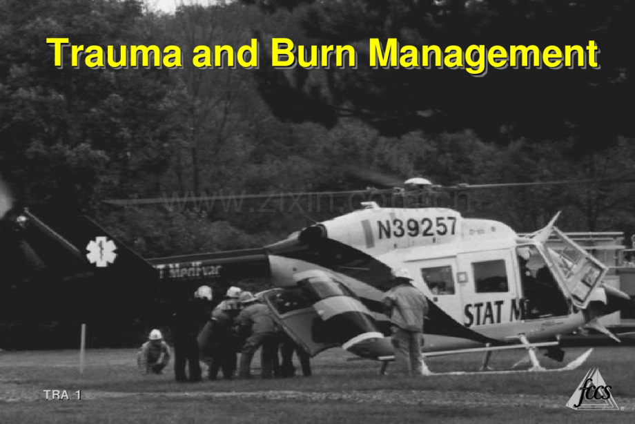 美国重症医学(FCCM)的基础教程创伤和烧伤的处理.pdf_第1页