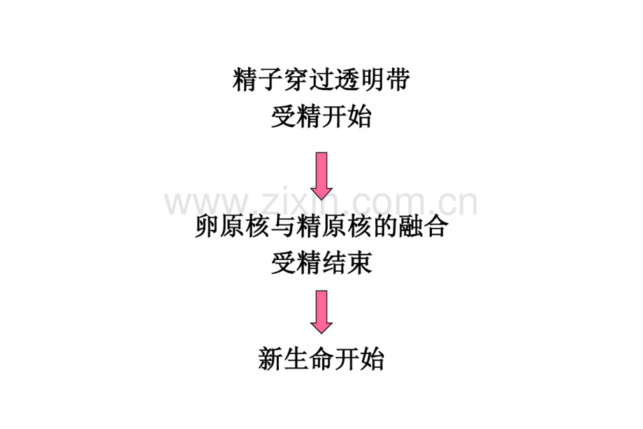 乔杰给研究生辅助生育课件(北医三院生殖中心).pdf_第2页