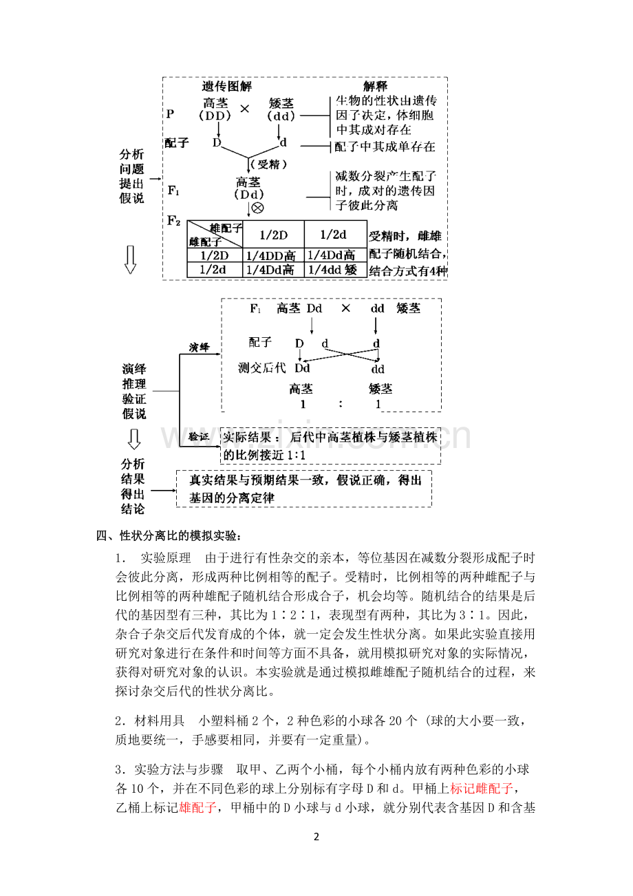基因分离定律知识要点.doc_第2页
