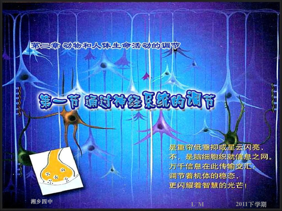 通过神经系统的调节.pdf_第1页