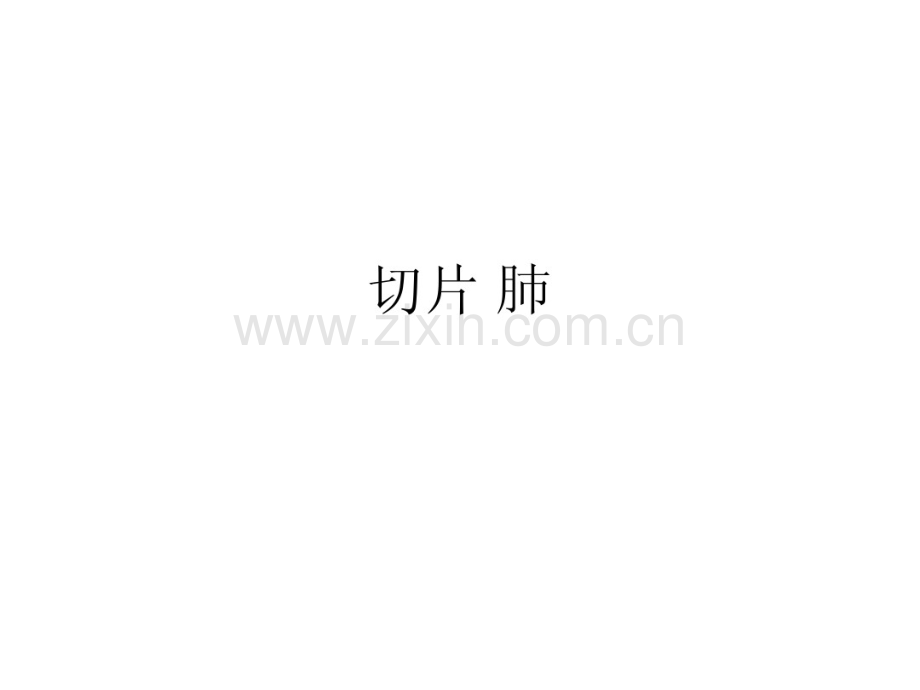 病理切片肺.pdf_第1页