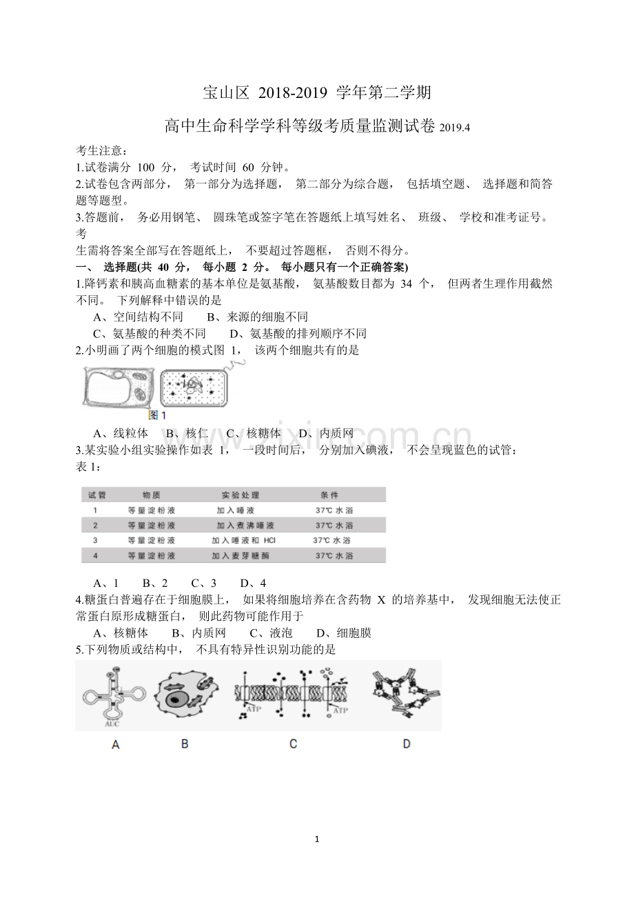 上海市宝山区2018-2019学年第二学期高中(二模)等级考调研测试生命科学试卷含答案.doc_第1页