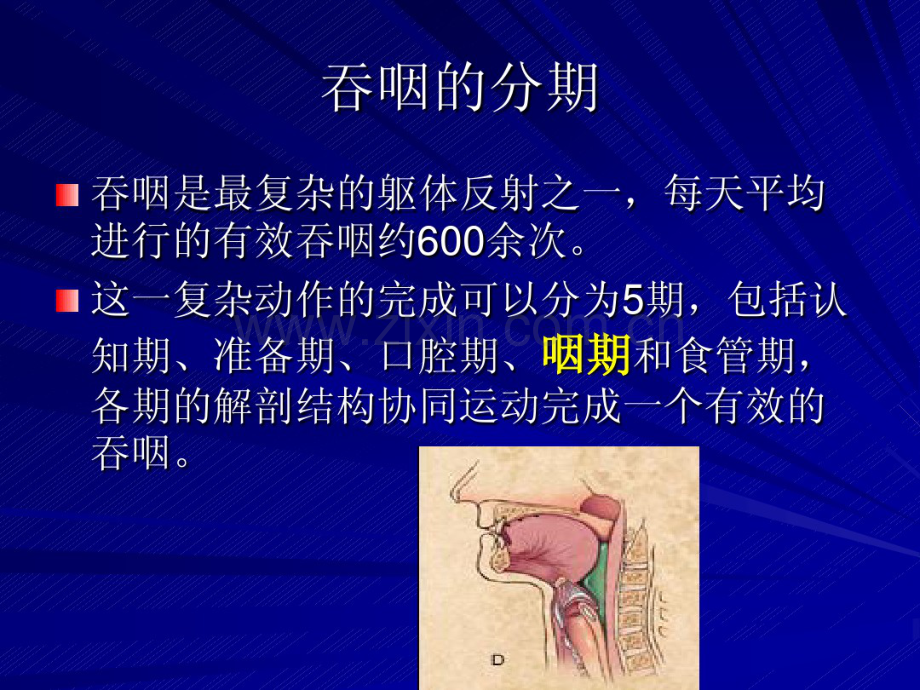 食道球囊扩张术经验分享.pdf_第2页