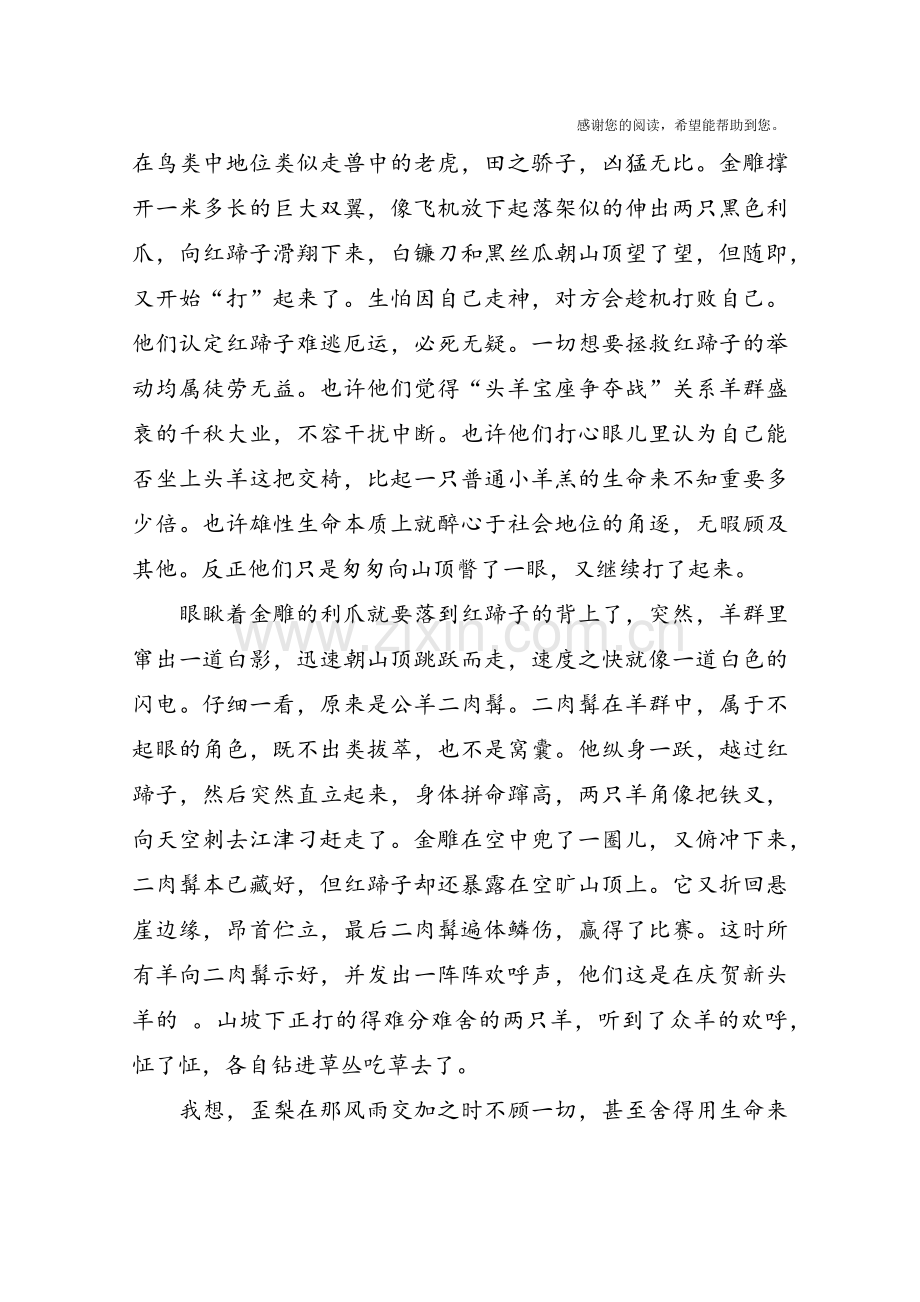 《头羊之争》读后感.doc_第2页